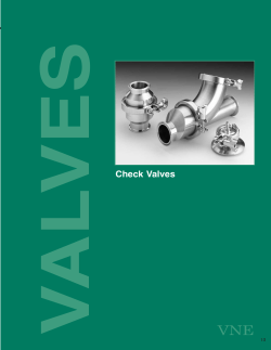 Check Valves - VNE Stainless