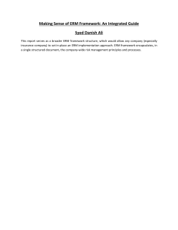 Enterprise Risk Management Framework