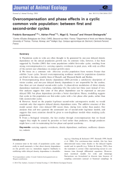 Overcompensation and phase effects in a cyclic common vole