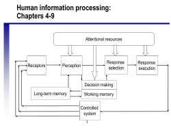 Decision making types