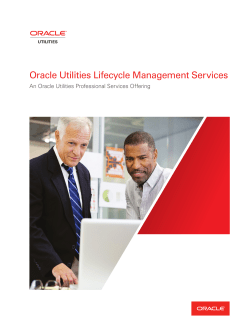 Oracle Utilities Lifecycle Management Services