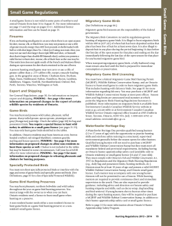 small game - Auld Reekie Lodge