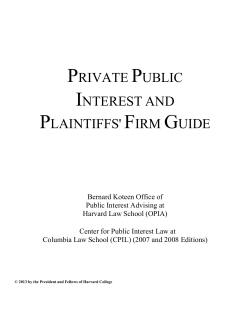 private public interest and plaintiffs` firm guide