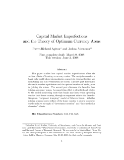 Capital Market Imperfections and the Theory of Optimum Currency