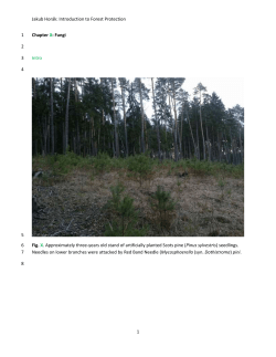 Jakub Horák: Introduction to Forest Protection Chapter X: Fungi Intro