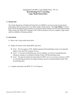 Attachment 6 04 - BFPC Logic Model Form