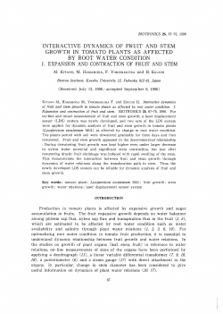 interactive dynamics of fruit and stem growth in tomato plants as