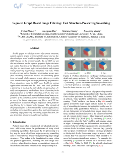 Segment Graph Based Image Filtering