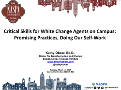 Skills for White Change Agents