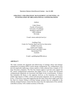 STRATEGY AND STRATEGIC MANAGEMENT ACCOUNTING: AN