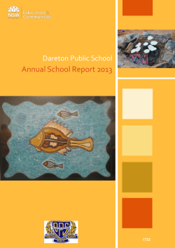 School performance 2013 - Dareton Public School