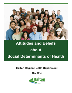 2013 Attitudes and Beliefs about Social