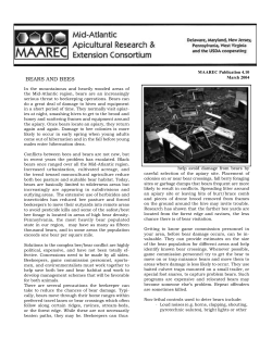 BEARS AND BEES MAAREC Publication 4.10 March 2004 In the