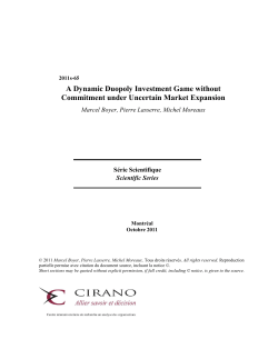 A Dynamic Duopoly Investment Game without
