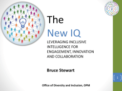 Bruce Stewart Office of Diversity and Inclusion, OPM