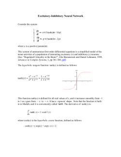 Excitatory_Inhibitory_Neural_Network