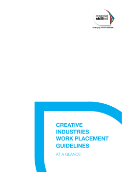 Guidelines for Employers offering Work Placement
