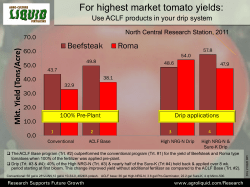 For highest market tomato yields: