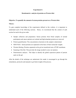 Exp4_theory