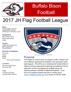 2017 JH Flag Football League