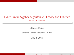 Exact Linear Algebra Algorithmic: Theory and Practice
