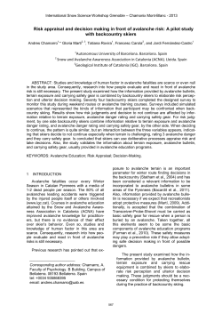 Risk appraisal and decision making in front of avalanche risk: A pilot