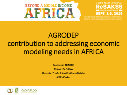 AGRODEP contribution to addressing economic modeling needs in