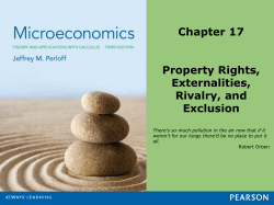 Property Rights, Externalities, Rivalry, and Exclusion
