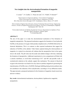 New insights into the electrochemical formation of magnetite