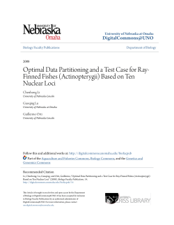 Optimal Data Partitioning and a Test Case for Ray