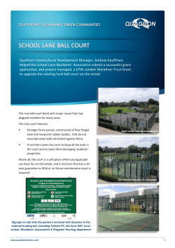 school lane ball court