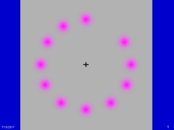 Dealing with Cognitive Biases in Decision Making