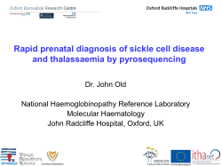 Rapid prenatal diagnosis of sickle cell disease and