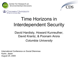 Time Horizons in Interdependent Security