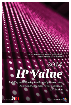 Building and enforcing intellectual property value An