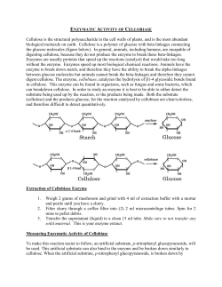 Enzymatic Activity of Cellobiase