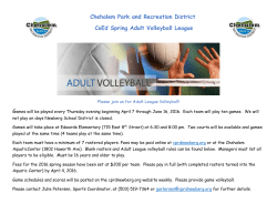 Adult Volleyball League Roster Forms and Rules