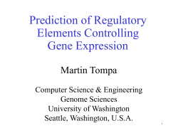 Motif discovery for predicting regulatory elements