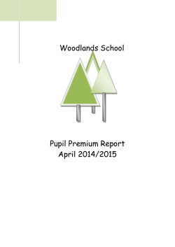 Pupil Premium Report 2014-2015 Literacy and Numeracy