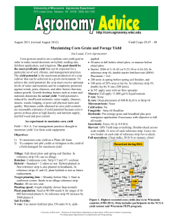 Maximizing Corn Grain and Forage Yield