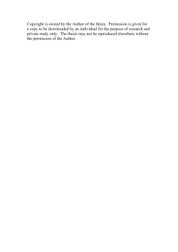 Te Arawhata o Aorua Bridging Two Worlds: A Grounded Theory Study