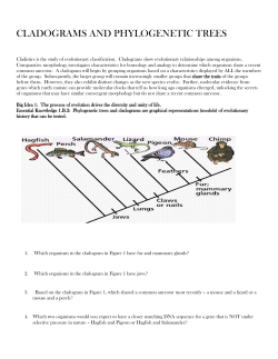 CLADOGRAMS-AND-PHYLOGENETIC-TREES