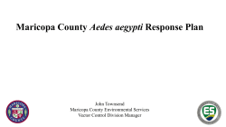 Maricopa County Aedes aegypti Response Plan
