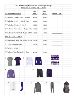 2016 Merrillville High School Girls` Soccer Player Package *Need