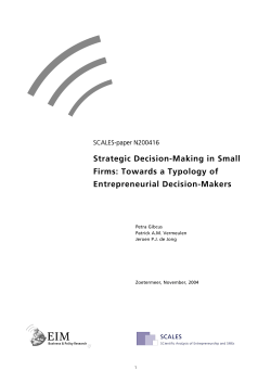 Strategic Decision-Making in Small Firms