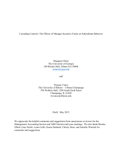 The Effects of Manager Incentive Frame on Subordinate Behavior