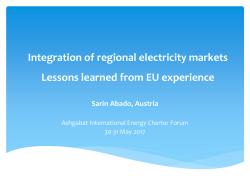Integration of regional electricity markets Lessons