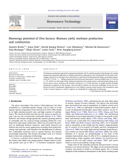 Bioenergy potential of Ulva lactuca: Biomass yield, methane