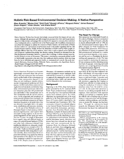 Holistic Risk-Based Environmental Decision Making