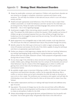 Appendix 13 Strategy Sheet: Attachment